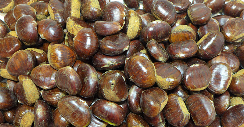 Maronen teilweise mit Fraßlöchern